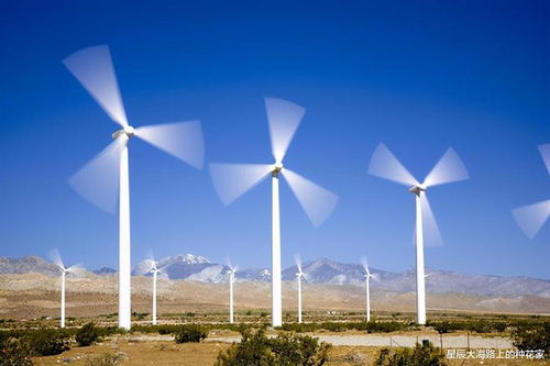 風(fēng)車(chē)之辯 正視風(fēng)力發(fā)電的利弊平衡