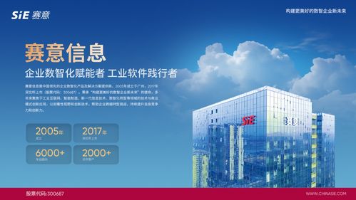 賽意信息入選2024行業(yè)軟件企業(yè)活力與服務(wù)力Top30，彰顯北京信息技術(shù)咨詢服務(wù)實力